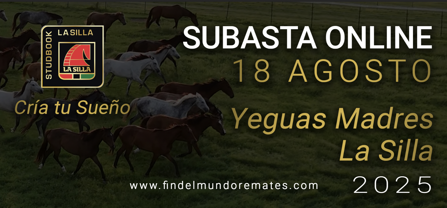 Subasta Online 18 Agosto